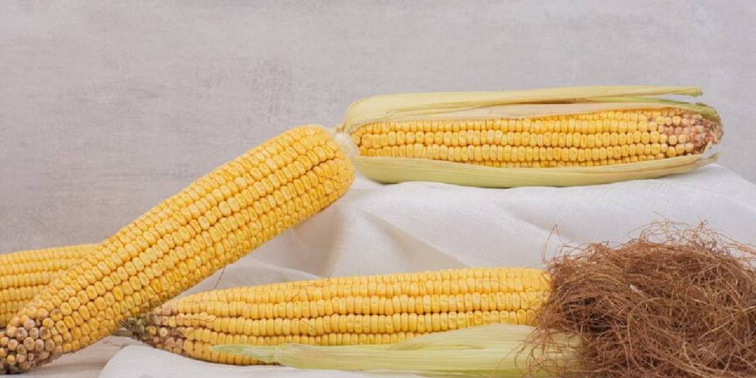 Yılda 2 kez yapana hastalık uğramıyor! Dr. Saraçoğlu altın kadar değerli tavsiyeyi paylaştı: Püsküllerini çöpe atmayın 1